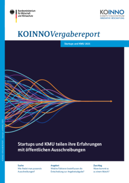 Vergabereport Startups & KMU 2025 Vergabereport Startups & KMU 2025