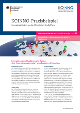 KOINNO Praxisbeispiel: Entwicklung eines Hagelsensors im Rahmen einer Innovationspartnerschaft beim Deutschen Wetterdienst (DWD)