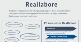Infografik Reallabore Infografik Reallabore