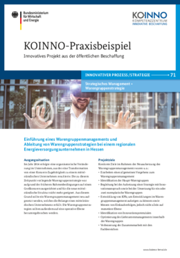 KOINNO-Praxisbeispiel: Einführung eines Warengruppenmanagements und Ableitung von Warengruppenstrategien bei einem regionalen Energieversorgungsunternehmen in Hessen