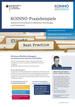 Factsheet KOINNO-Praxisbeispiele